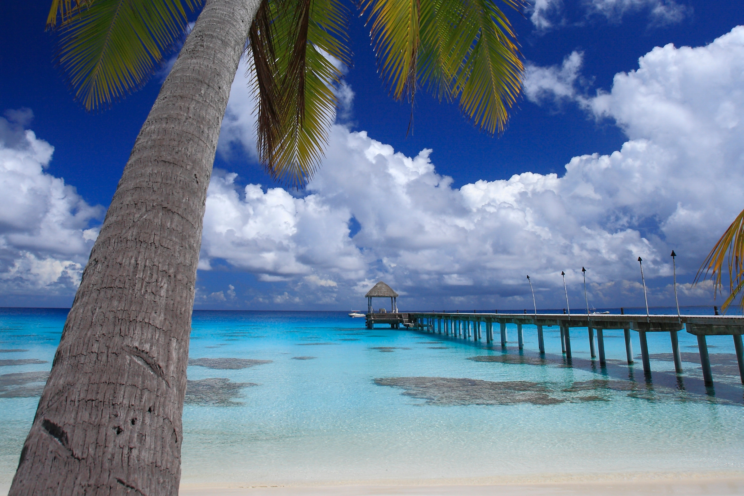 Mataiva_Atoll,_Tuamotu_Islands[1].webp